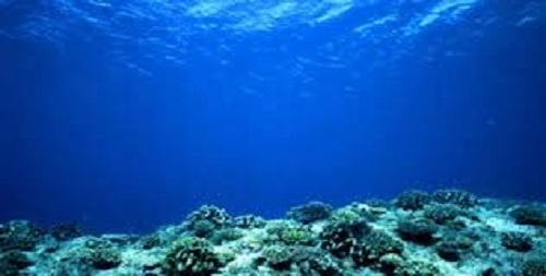 New Alliance: Pacific Schools